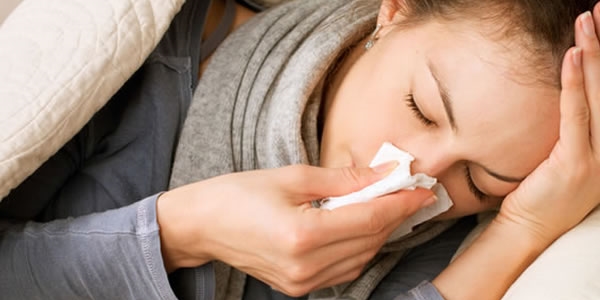 Domuz Gribi Değil Panik Patlak Verdi