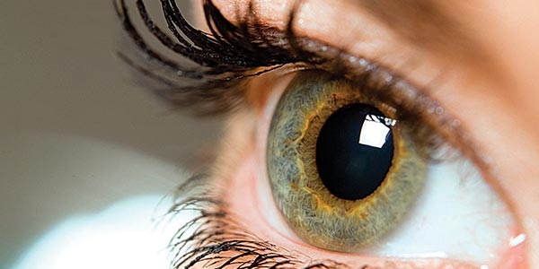 Göz Kuruluğu Kör Bırakıyor