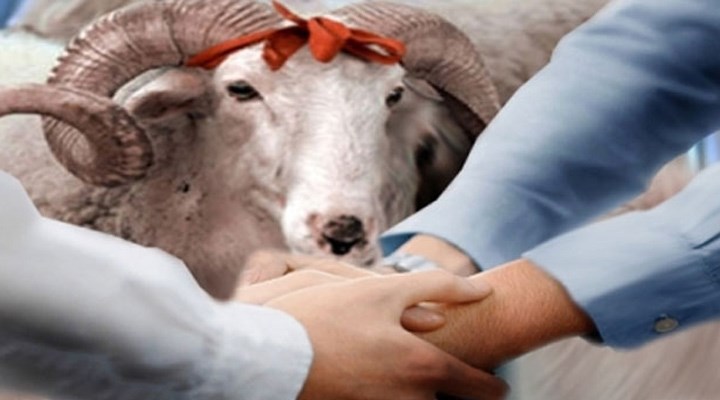 Çifte Kurban Bayramı Müjdesi! Tatil Süresi Belli Oldu