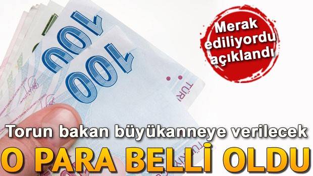 Büyükanneye Verilecek Torun Maaşı Belli Oldu
