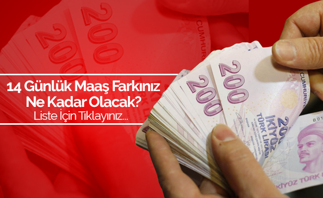 14 Günlük Maaş Zammı Farkınız Ne Kadar Olacak? Memur Maaş Zamları!
