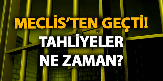 Af Yasası Haberleri 2020 | Af Yasası Maddeleri Meclis’ten Geçti mi?