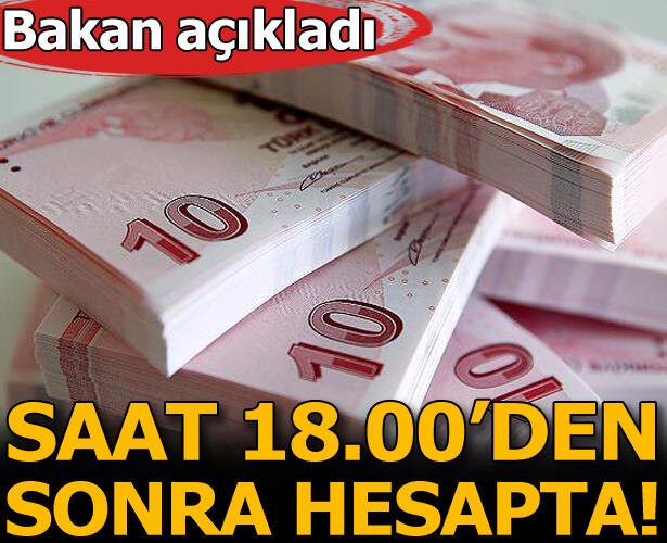 Tarım ve Orman Bakanı Pakdemirli Açıkladı! 18:00’den İtibaren Hesaplara Yatacak!