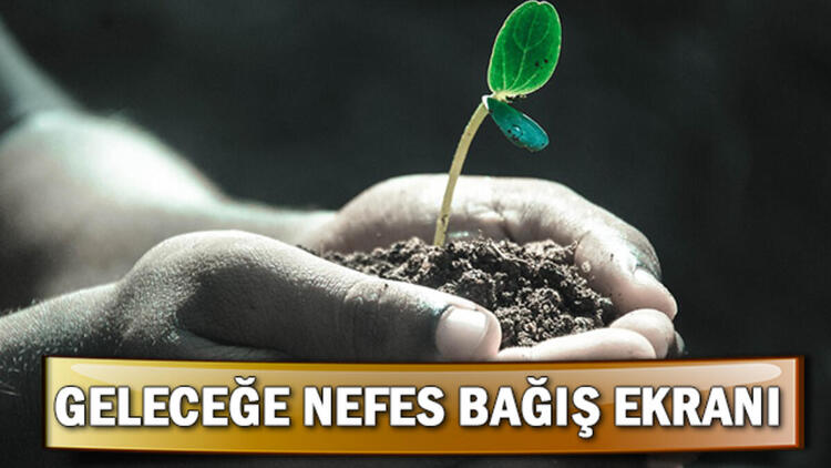 Milli Ağaçlandırma Günü (Geleceğe Nefes) Nedir? Geleceğe Nefes Kampanyası Katılım Ekranı